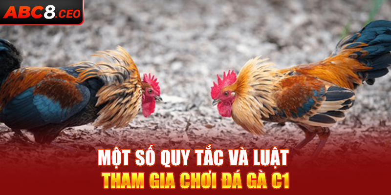 Một số quy tắc và luật tham gia chơi đá gà C1