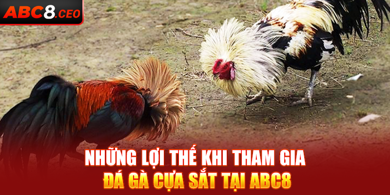 Những lợi thế khi tham gia đá gà cựa sắt tại ABC8